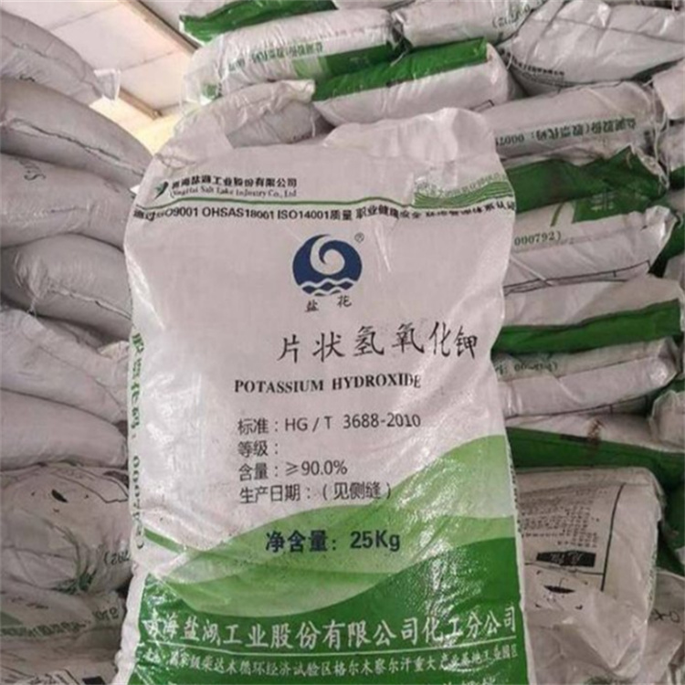 好屌骚啪啪导航